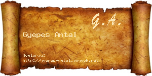 Gyepes Antal névjegykártya