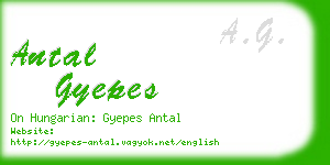 antal gyepes business card